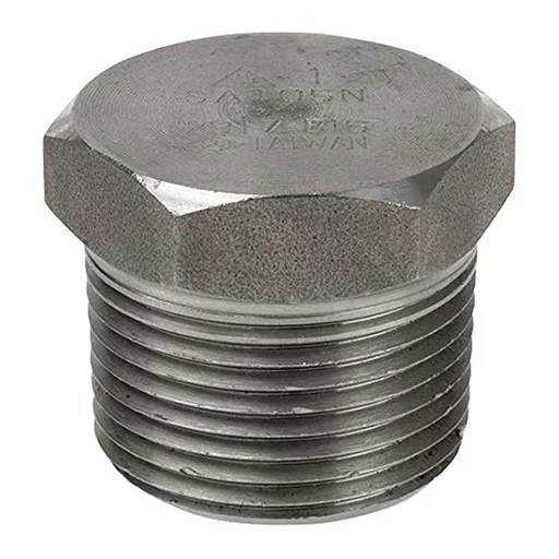 Alloy 20 Pipe Plug